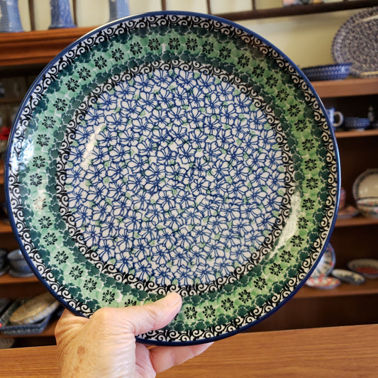 Plate ~ Dinner ~  10" 257-1479X ~ Kiwi pf0424