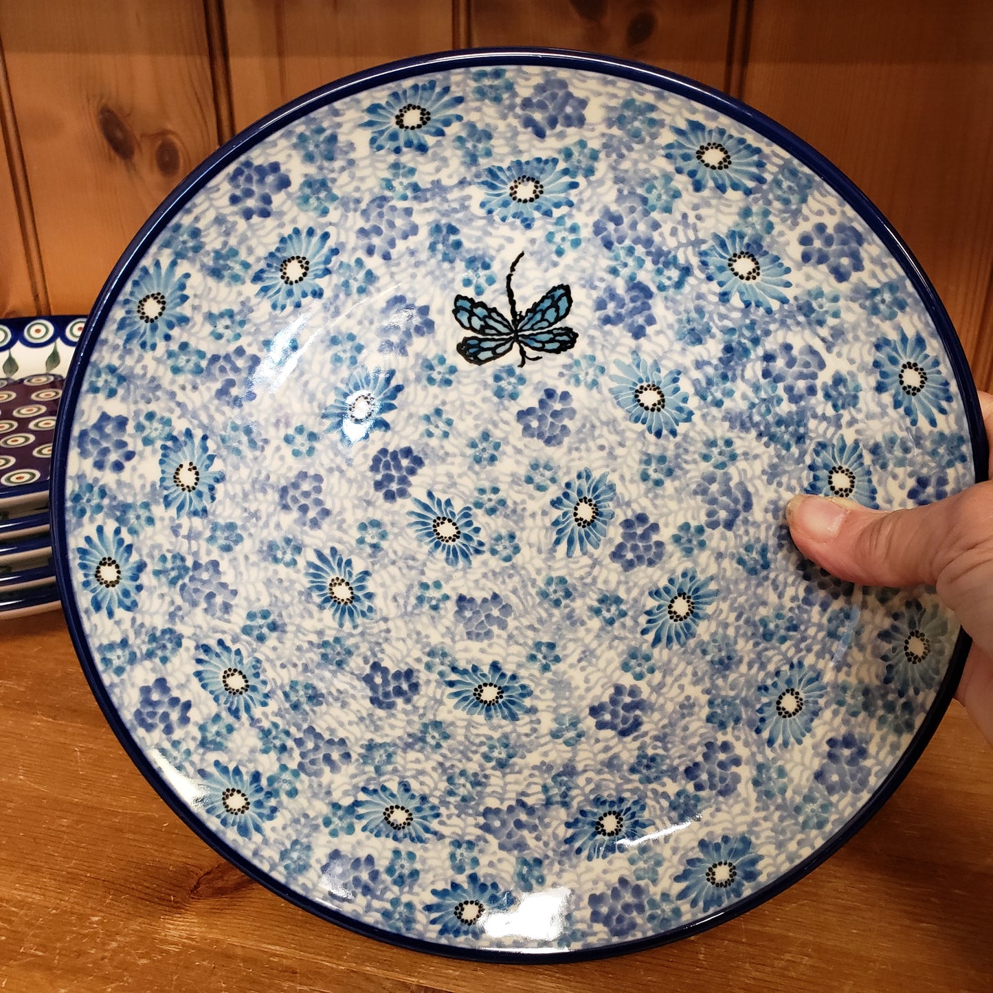 Plate ~ Dinner ~  10" 257-2818X  Misty Dragonfly pf0608