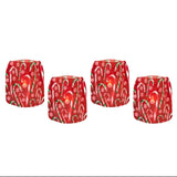 Modgy Candy Cane luminary lanterns (set of 4)